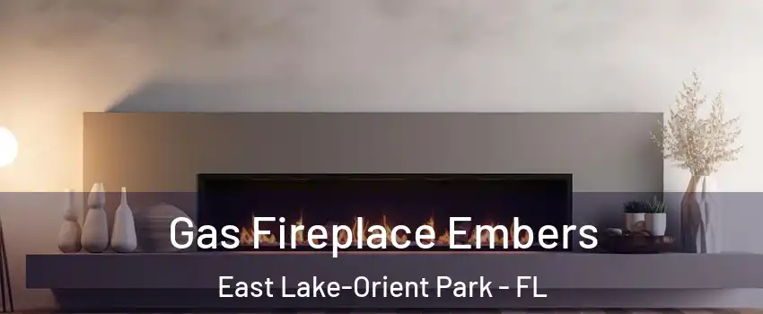  Gas Fireplace Embers East Lake-Orient Park - FL