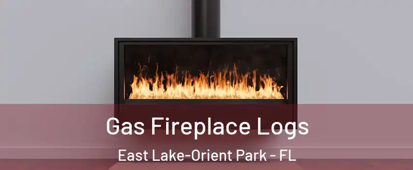  Gas Fireplace Logs East Lake-Orient Park - FL