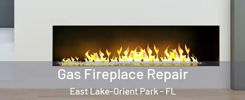  Gas Fireplace Repair East Lake-Orient Park - FL