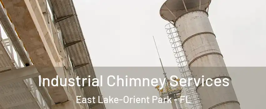  Industrial Chimney Services East Lake-Orient Park - FL