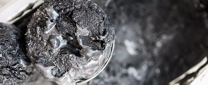 Clogged Dryer Vent Lint Cleaning in East Lake-Orient Park, Florida