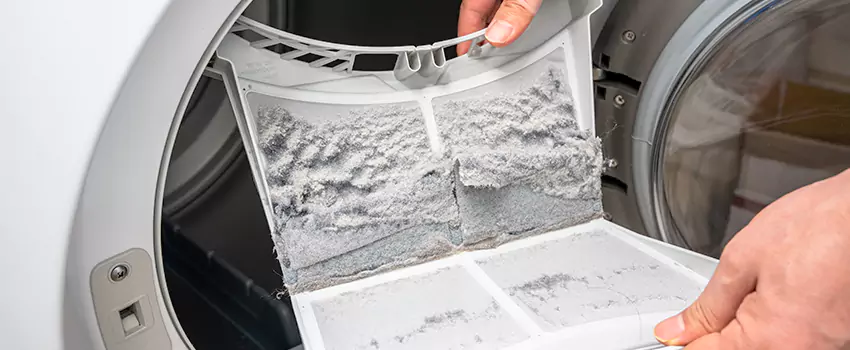 Best Dryer Lint Removal Company in East Lake-Orient Park, Florida