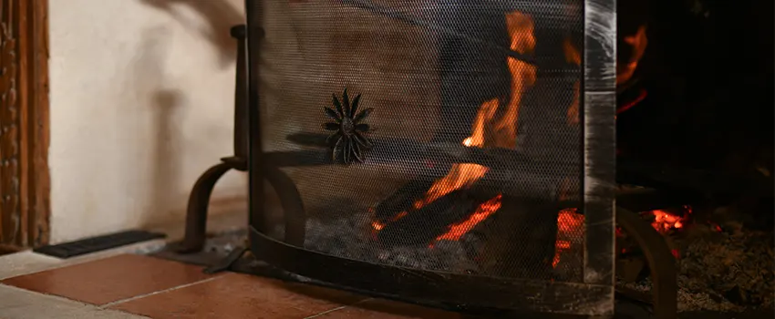 Electric Metal Fireplace installation Services in East Lake-Orient Park, FL