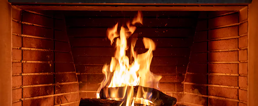 Soot Cleanup Services in East Lake-Orient Park, FL
