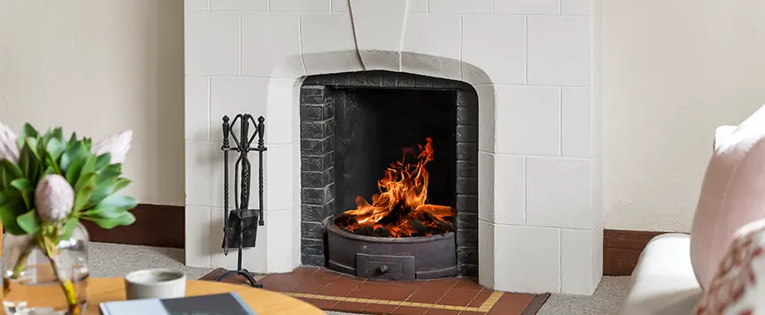Valor Fireplaces and Stove Repair in East Lake-Orient Park, FL