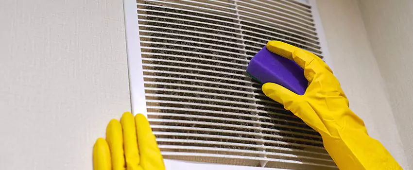 Vent Cleaning Company in East Lake-Orient Park, FL