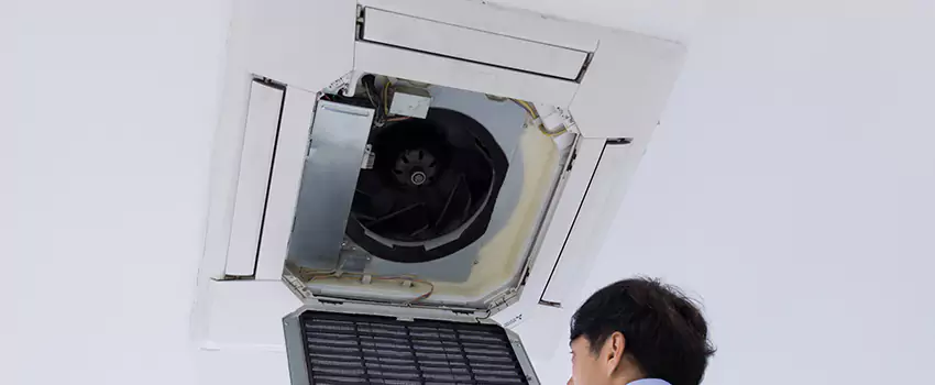 Benefits of Professional Air Duct Cleaning in East Lake-Orient Park, Florida