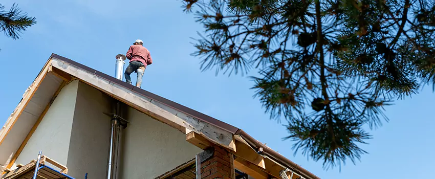 Birds Removal Contractors from Chimney in East Lake-Orient Park, FL