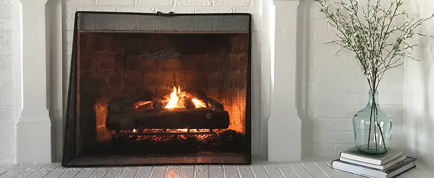 Cost-Effective Fireplace Mantel Inspection And Maintenance in East Lake-Orient Park, FL