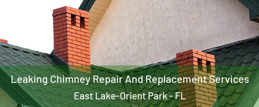 Leaking Chimney Repair And Replacement Services East Lake-Orient Park - FL