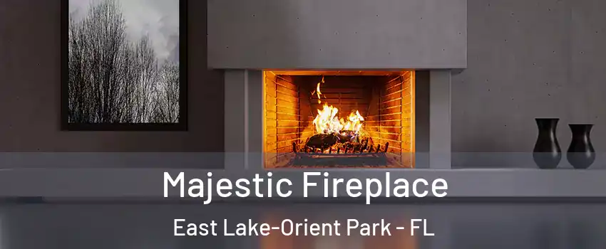  Majestic Fireplace East Lake-Orient Park - FL