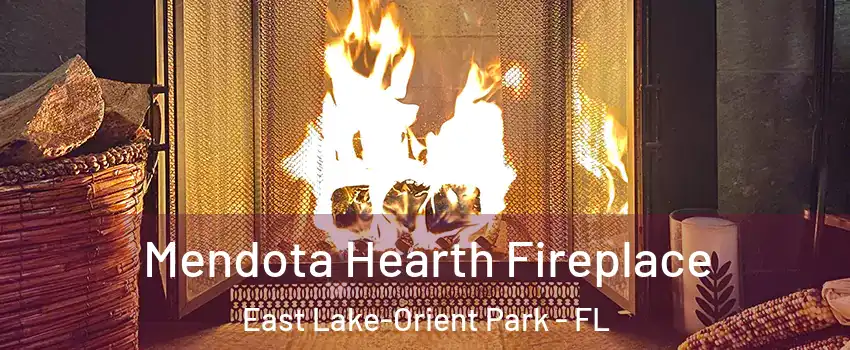  Mendota Hearth Fireplace East Lake-Orient Park - FL