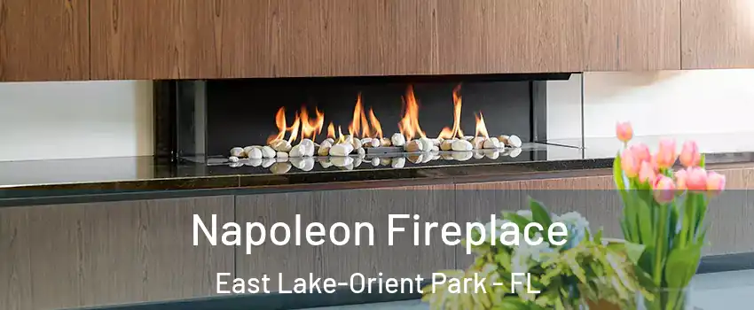  Napoleon Fireplace East Lake-Orient Park - FL