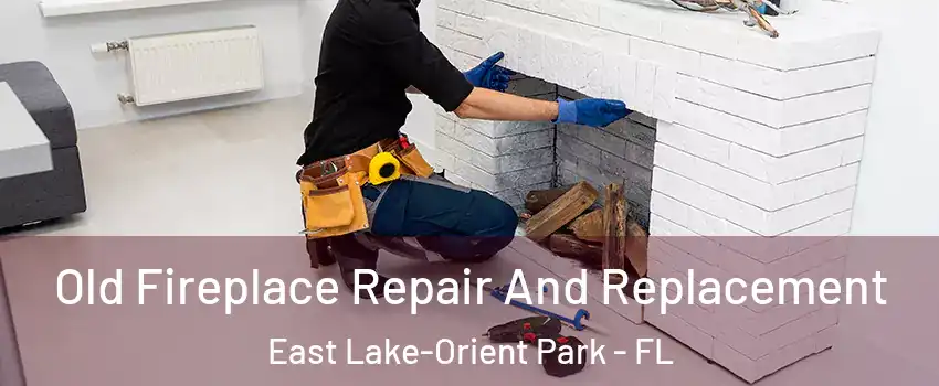  Old Fireplace Repair And Replacement East Lake-Orient Park - FL