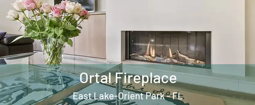  Ortal Fireplace East Lake-Orient Park - FL