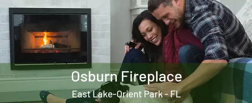  Osburn Fireplace East Lake-Orient Park - FL