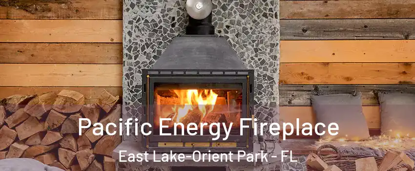  Pacific Energy Fireplace East Lake-Orient Park - FL