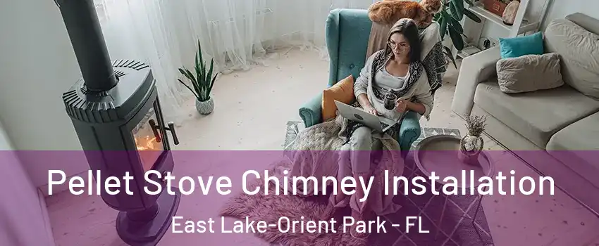 Pellet Stove Chimney Installation East Lake-Orient Park - FL