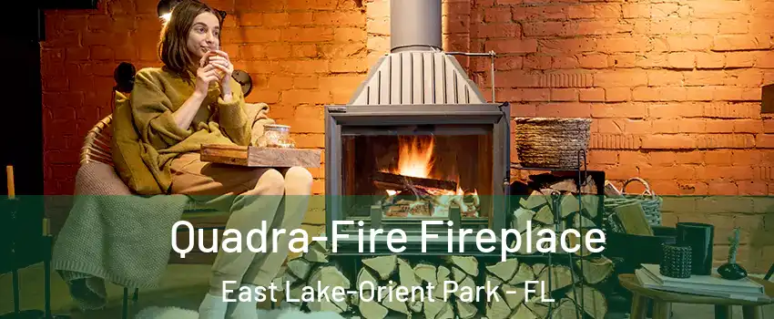  Quadra-Fire Fireplace East Lake-Orient Park - FL