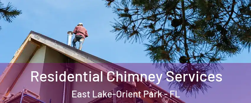  Residential Chimney Services East Lake-Orient Park - FL