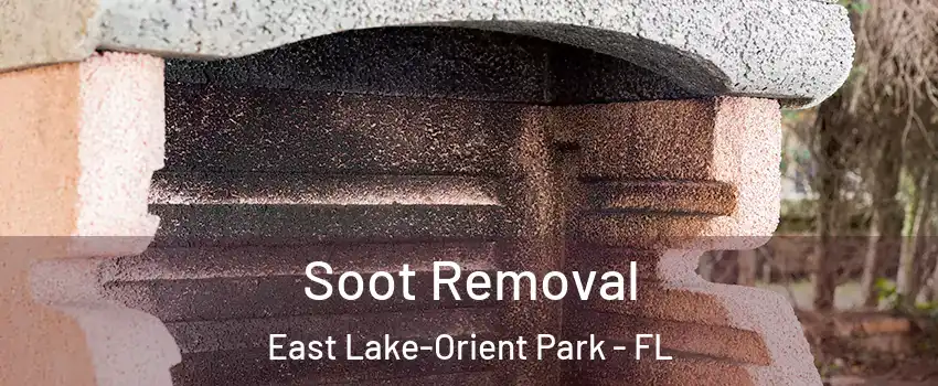  Soot Removal East Lake-Orient Park - FL
