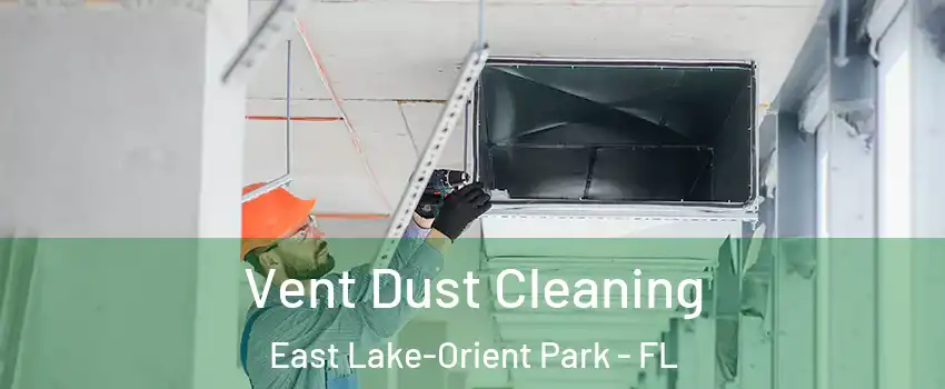  Vent Dust Cleaning East Lake-Orient Park - FL