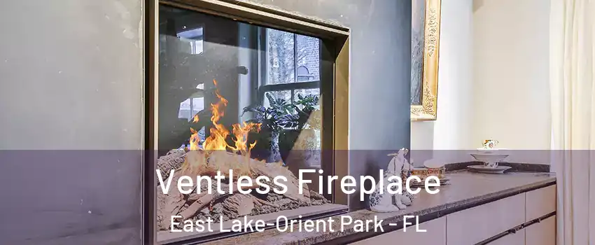  Ventless Fireplace East Lake-Orient Park - FL