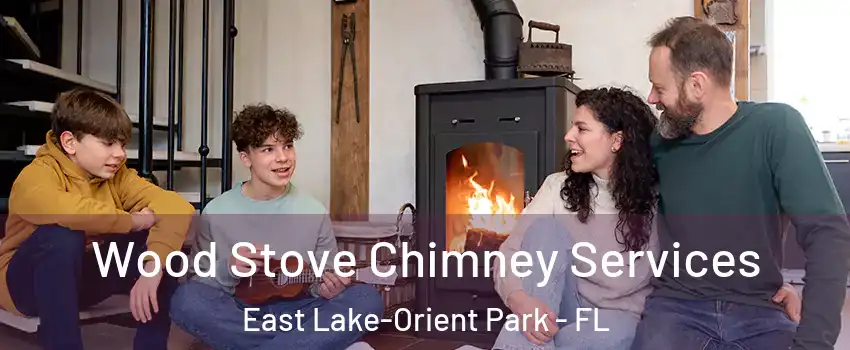  Wood Stove Chimney Services East Lake-Orient Park - FL